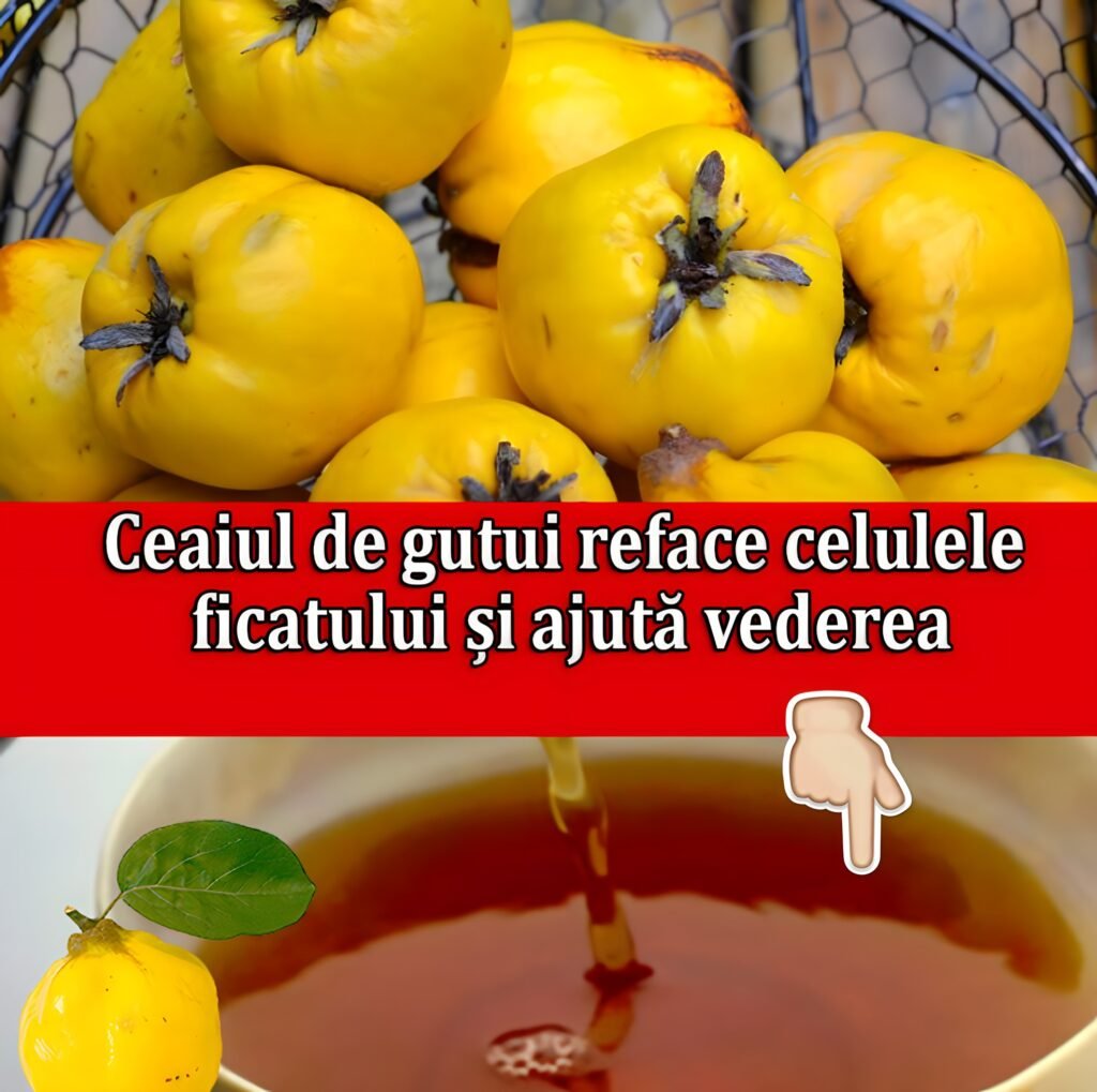 Beneficiile miraculoase ale GUTUILOR. Ce afectiuni trateaza si amelioreaza