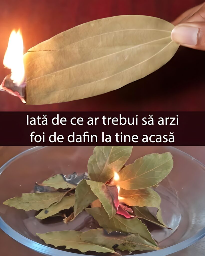 Iată 12 lucruri incredibile care se întâmplă atunci când arzi o frunză de dafin acasă