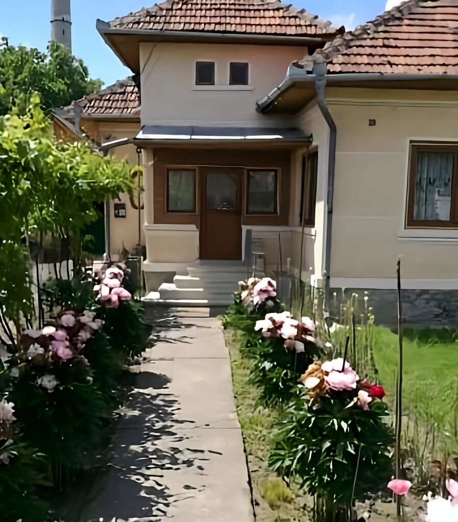 Au început controalele! S-au dat amenzi uriașe!