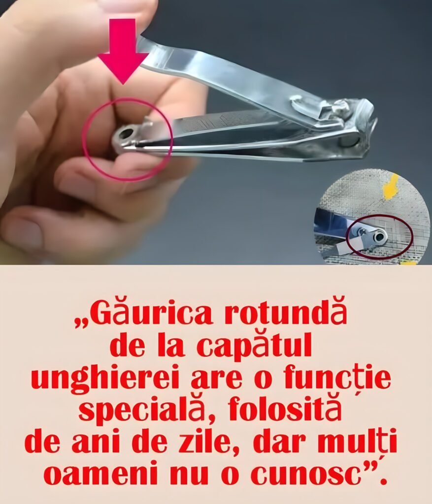 Unghiera: Obiect banal sau instrument multifuncțional? Trucuri ingenioase pe care puțini le cunosc