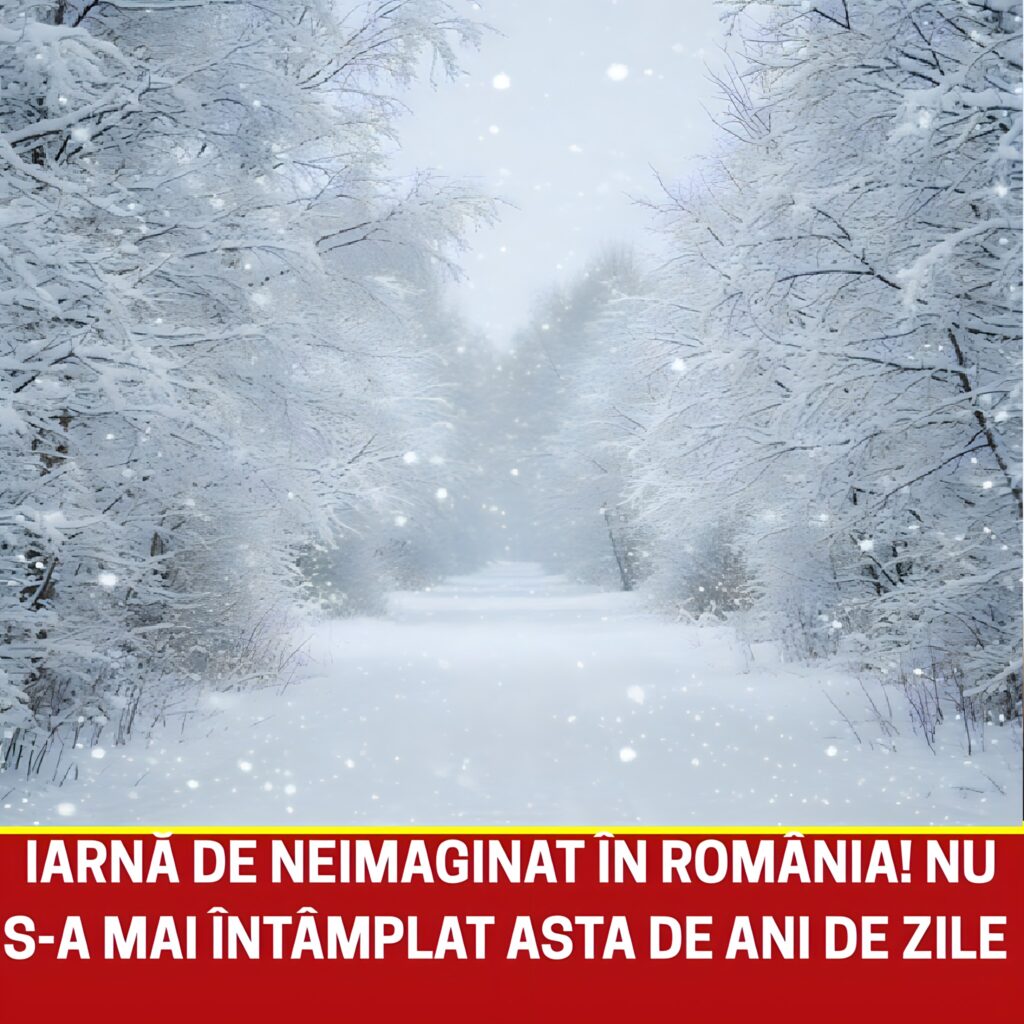 Alertă meteo: Iarna 2025-2026 aduce ger extrem și zăpadă abundentă în România