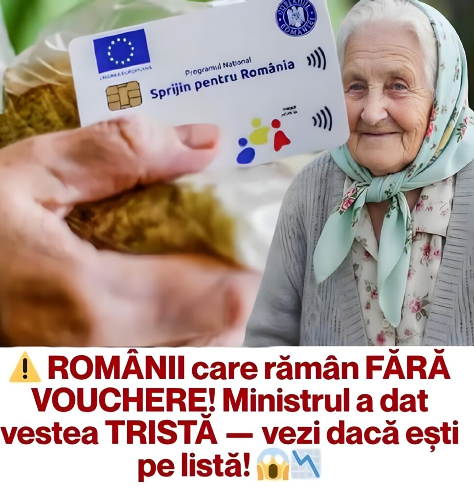 Guvernul redirecționează fondurile AFM: Voucherele pentru români, în pericol